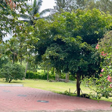 The Shades Holiday Homes Kushalnagar Luaran gambar