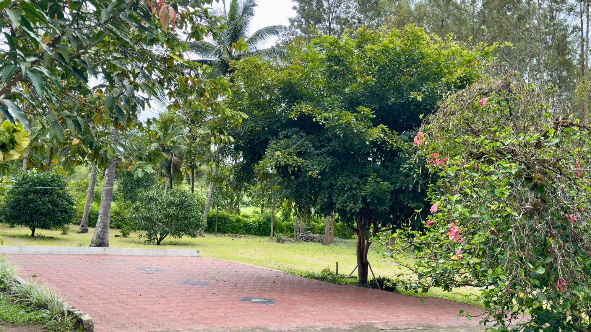 The Shades Holiday Homes Kushalnagar Luaran gambar